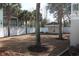 Large backyard featuring a cabana, white picket fence, palm trees and lots of potential at 220 Starcrest Circle, North Myrtle Beach, SC 29582