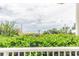 Tranquil view of the ocean and beach from a balcony, with vibrant greenery in the foreground at 2504 Ocean Blvd. # 1134, Myrtle Beach, SC 29577