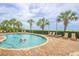 Outdoor pool area featuring palm trees, lounge chairs, and families enjoying the water on a sunny day at 2504 Ocean Blvd. # 1134, Myrtle Beach, SC 29577