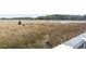 Scenic shot of waterway surrounded by tall marsh grasses and a distant bridge at 4396 Baldwin Ave. # 138, Little River, SC 29566