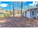 Spacious backyard with mature trees and natural ground cover at 67 Massick Ln., Pawleys Island, SC 29585