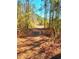 Secluded path surrounded by lush greenery, offering privacy and a connection with nature for the property at 3302 Highway 905, Conway, SC 29526