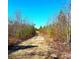 Scenic dirt road surrounded by trees leads to the property, offering privacy and a nature-filled setting at 3302 Highway 905, Conway, SC 29526