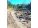 Cleared land with tire tracks shows the potential for building or recreational use, ready for development at 3302 Highway 905, Conway, SC 29526