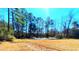 Expansive open land with mature trees offers building potential, privacy, and a beautiful natural landscape at 3302 Highway 905, Conway, SC 29526