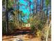 Wooded path leading to a glimpse of a home, offering privacy and a sense of serene seclusion at 3302 Highway 905, Conway, SC 29526