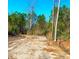 Well-cleared property with long drive and dense woods on either side at 3302 Highway 905, Conway, SC 29526