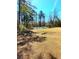 Back of property with meadow, pond, and trees at 3302 Highway 905, Conway, SC 29526