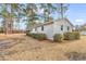 Backyard with mature trees, brick, and new windows at 4320 Stevens St., Loris, SC 29569