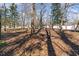 A spacious yard offers privacy and nature, making it perfect for outdoor activities and relaxation at 822 Highway 90, Conway, SC 29526