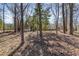 A tree-lined yard provides ample shade and natural beauty, enhancing the overall curb appeal at 822 Highway 90, Conway, SC 29526