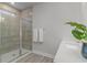 Modern bathroom with a glass shower and a white sink, complemented by a plant for a touch of nature at 729 Choctaw Dr., Conway, SC 29526