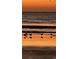 Seascape with birds wading in the water as the sun sets, creating a warm ambiance and silhouetted figures at 217 N Myrtle St. # 1, Myrtle Beach, SC 29577