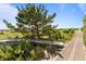 Picturesque walkway leading to the beach with lush greenery on the sides at 1257 Ocean Blvd., Holden Beach, NC 28462
