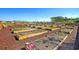 Community garden with raised garden beds in a well maintained area at 1356 Palm Springs Paloma Dr, Longs, SC 29568