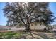 Expansive grassy yard featuring a majestic, mature shade tree casting shadows on the lawn at 622 Lorenzo Dr. # 622, North Myrtle Beach, SC 29582