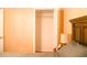 Cozy bedroom featuring an open closet and warm lighting at 649 Tupelo Ln. # 13E, Longs, SC 29568