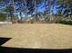 Large backyard with mature trees, offering a private and peaceful outdoor space at 311 St. Andrews Ln., Myrtle Beach, SC 29588