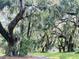 A serene walking path lined with large trees draped in Spanish moss, creating a tranquil atmosphere at 224 Oak Bay Dr., Georgetown, SC 29440