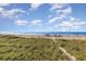 Beautiful beach with grassy dunes, showcasing the oceanfront property's prime location at 108 Ocean Blvd. N # 101, North Myrtle Beach, SC 29582