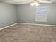 Bedroom featuring neutral paint, plush carpet, and a bright window at 221 Black Bear Rd., Myrtle Beach, SC 29588