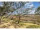 Gorgeous marsh view from a grassy backyard shaded by mature trees under a partly cloudy sky at 276 Salt Marsh Circle # 4D, Pawleys Island, SC 29585