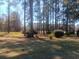 Lush backyard with mature trees creating a serene and private outdoor space at 360 South Green Sea Rd., Loris, SC 29569