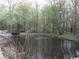 Home with relaxing pond featuring a fountain surrounded by mature trees perfect for nature at 3740 Limerick Rd., Myrtle Beach, SC 29579