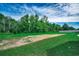 Spacious backyard with lush green grass and a border of trees at 646 Sunny Pond Ln., Aynor, SC 29511