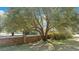 Landscaped front yard featuring a charming brick wall, mature tree, and lush greenery enhancing the property's curb appeal at 103 N Magnolia Ave., Andrews, SC 29510