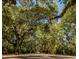 Tree-lined driveway canopy offers shaded entrance to a peaceful community at 164 Vineyard Place # 23, Pawleys Island, SC 29585
