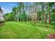 Expansive lawn with a treeline offering privacy and a natural green space at 5825 Catalina Dr. # 1133, North Myrtle Beach, SC 29582