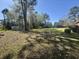 Large, grassy backyard with mature trees offering plenty of room for outdoor activities at 61 Lakewood Dr., Andrews, SC 29510