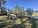 A wooden foot bridge over a small waterway with natural vegetation at 61 Lakewood Dr., Andrews, SC 29510