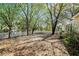 Large backyard features mature trees and a white picket fence at 81 Safe Harbor Ave., Pawleys Island, SC 29585