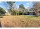 Spacious backyard featuring a mix of lush grass and pine straw, creating a natural landscape at 3494 Cactus St. # 3494, Myrtle Beach, SC 29577