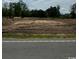 Picture of property showcasing a vacant lot view for a new home at 275 Zion Rd., Galivants Ferry, SC 29544