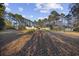 Large backyard featuring a home, playground, storage shed, and ample open space at 5825 Peachtree Rd., Myrtle Beach, SC 29588