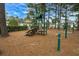 Community playground area with a slide, monkey bars, and tall pine trees at 615 Woodbine Ct., Myrtle Beach, SC 29579