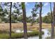 Scenic view of a backyard with trees, marsh, and river at 627 Bonaventure Dr. # 204, Myrtle Beach, SC 29577