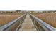 Scenic community walkway through marshland offering peaceful nature views at 647 Norris Dr., Pawleys Island, SC 29585