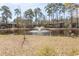 Picturesque pond view with a fountain, surrounded by mature trees, adding natural beauty to the community at 1221 Tidewater Dr. # 1922, North Myrtle Beach, SC 29582