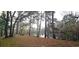 A treed backyard with a lake view, showcasing the natural beauty of the location at 1030 Waccamaw Lake Dr., Conway, SC 29526