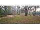 Wooded backyard with a mixture of green grass, brown leaves and water in the background at 1030 Waccamaw Lake Dr., Conway, SC 29526