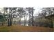 Lakeside with tall pine trees and Spanish moss with a wooded horizon at 1030 Waccamaw Lake Dr., Conway, SC 29526