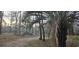 Land with trees, natural landscape, and palm trees at 1030 Waccamaw Lake Dr., Conway, SC 29526
