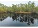 Scenic aerial view of a peaceful pond reflecting the surrounding trees and sky at 1030 Waccamaw Lake Dr., Conway, SC 29526