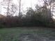 Lush backyard with ample shrubbery and tree coverage at 4664 Southgate Pkwy., Myrtle Beach, SC 29579