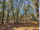Landscaped yard with mature trees offering shade and privacy at 400 Melrose Pl. # 14-A, Myrtle Beach, SC 29572