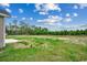 Spacious backyard with expansive green space, perfect for outdoor activities at 1390 Highway 129, Galivants Ferry, SC 29544